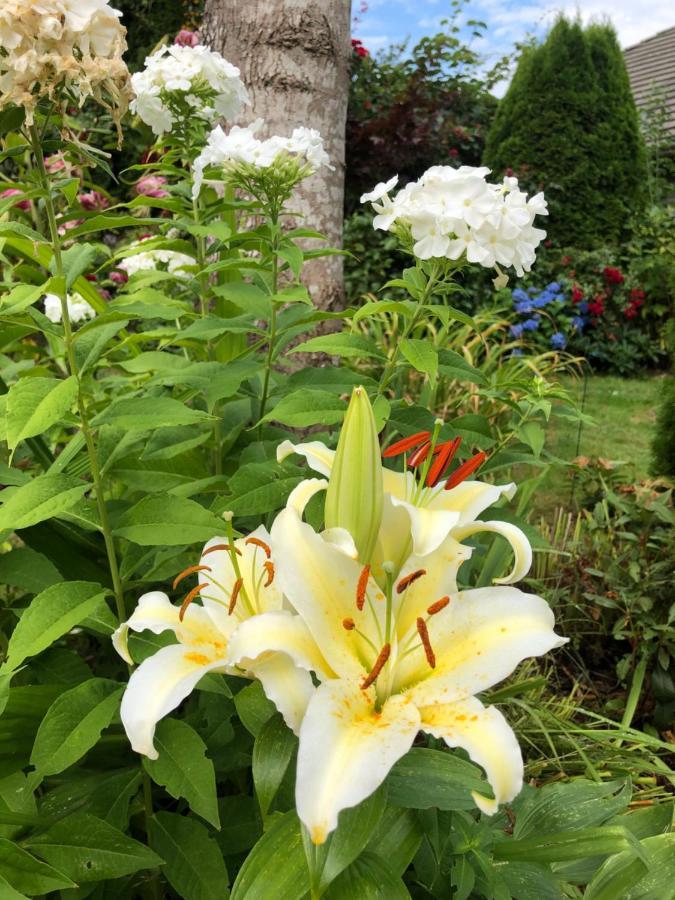 Jane's Private With Shared Washroom Homestay Surrey