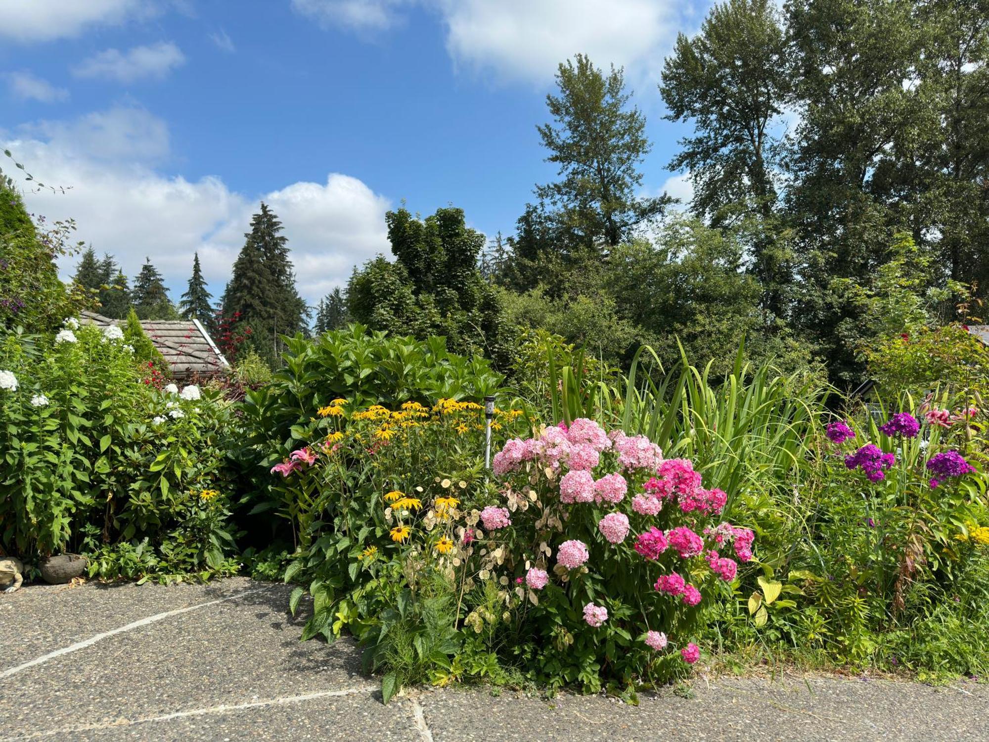 Homestay Jane's Private With Shared Washroom Surrey